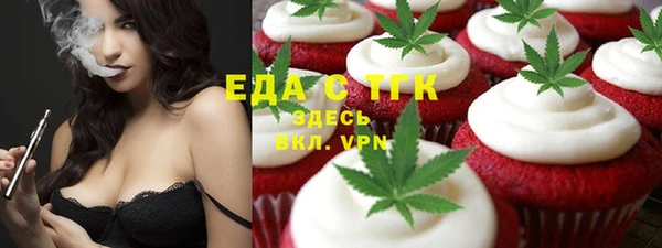 хмурый Арсеньев