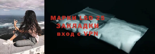 хмурый Арсеньев