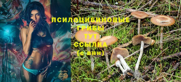 хмурый Арсеньев