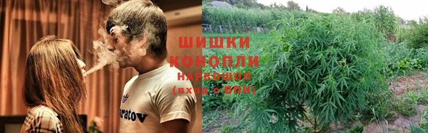 хмурый Арсеньев