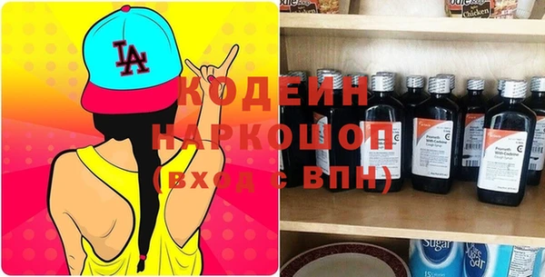 хмурый Арсеньев