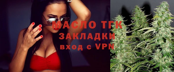хмурый Арсеньев
